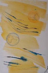 kuist-series-6